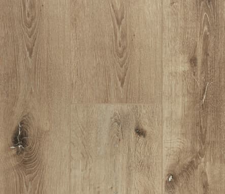 sample-image