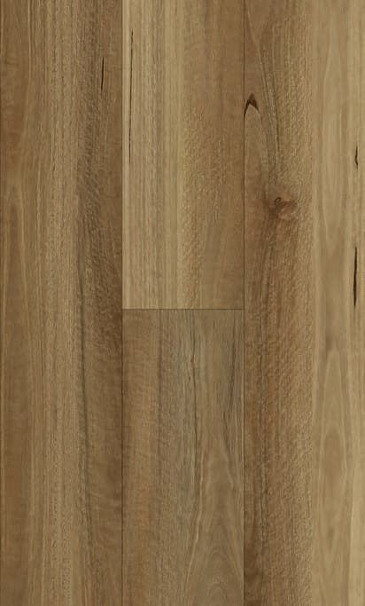 sample-image
