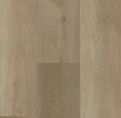 sample-image
