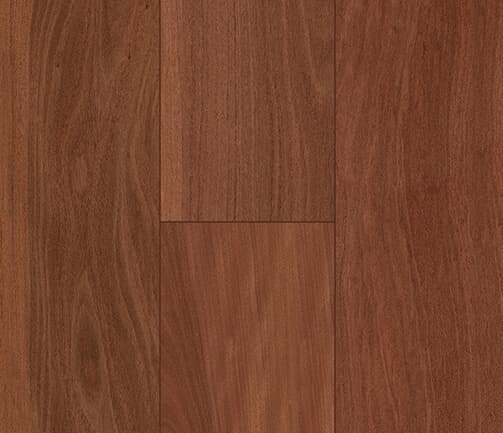 sample-image