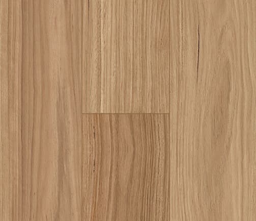 sample-image
