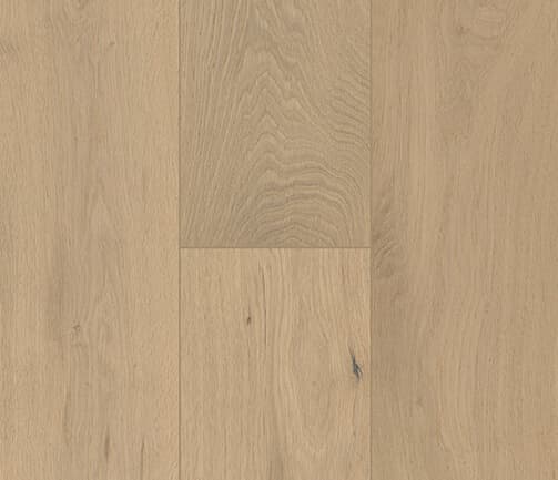 sample-image