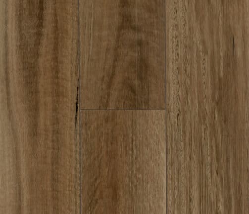 sample-image