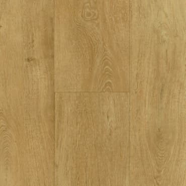 sample-image