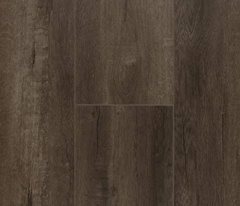 sample-image