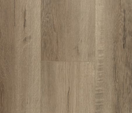 sample-image