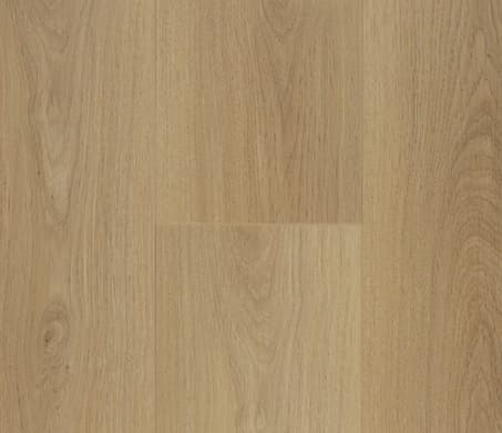 sample-image