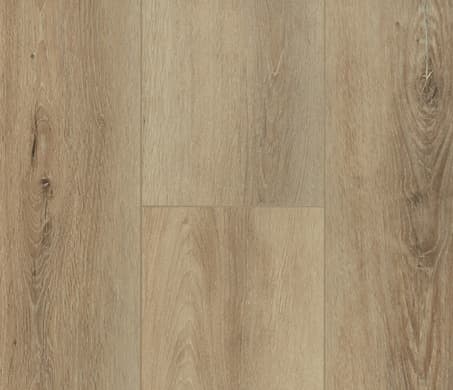 sample-image